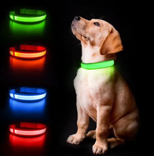 LED Pet Safety Collar